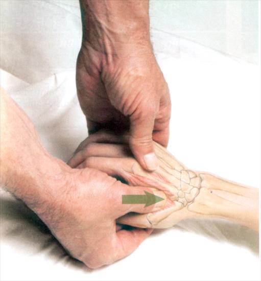 Anatomia masażu - 5-52.JPG