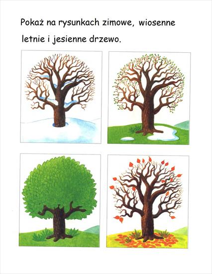 PORY ROKU1 - karta pracy - pory roku drzewa.JPG