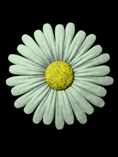 Kwiaty - Animacje 240x320 2111.gif