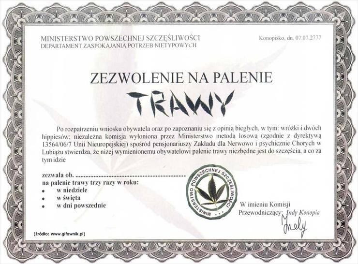 Certyfikaty i dyplomy - Zezwolenie na palenie trawy..jpg