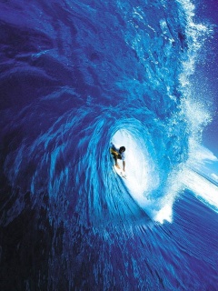 tapety - Surfing.jpg