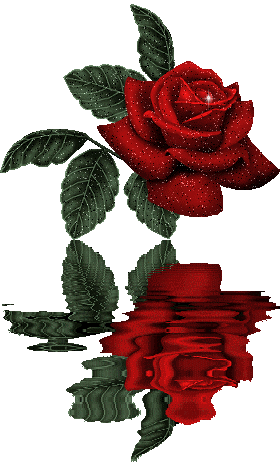 róże czerwone - róża4.gif