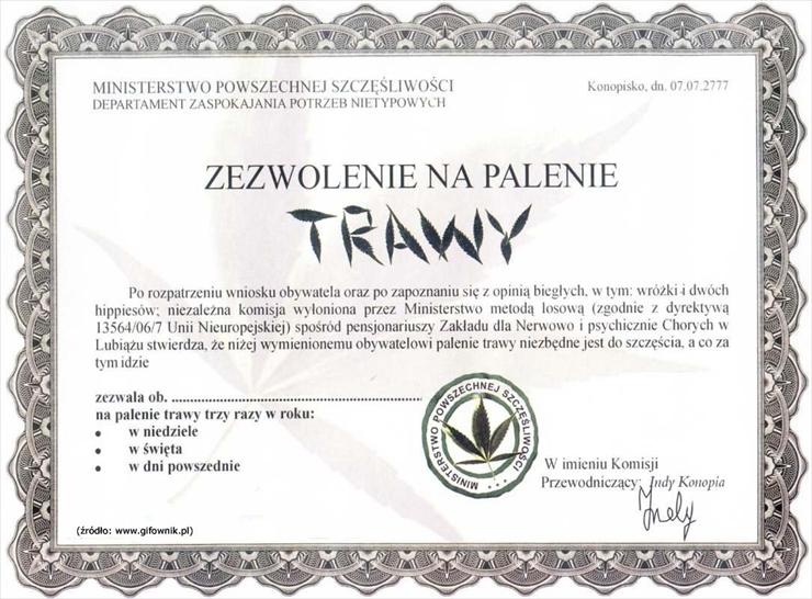 Śmieszne Dyplomy - trawa.jpg