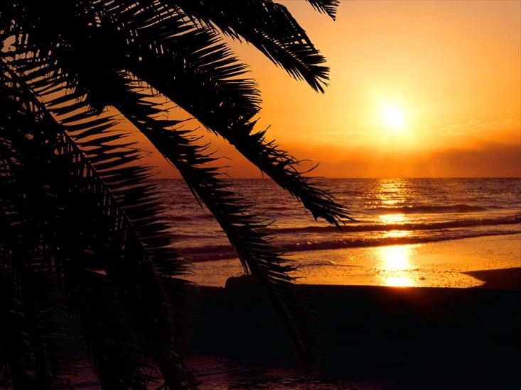 Wschody i zachody słońca 2 - Madeira Beach, Florida - 1600x1200 - ID 39634.jpg